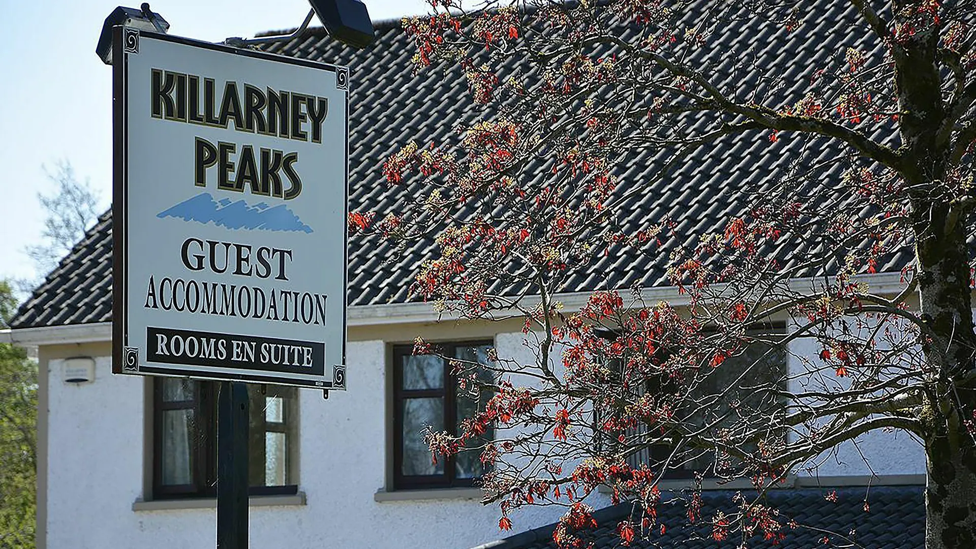 Killarney Peaks Guesthouse Guest house